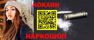 крисы Новокубанск
