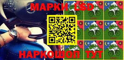 крисы Новокубанск
