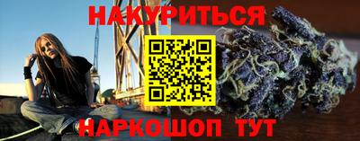 крисы Новокубанск