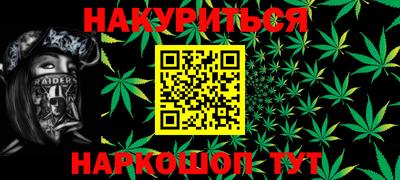 крисы Новокубанск
