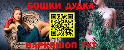крисы Новокубанск