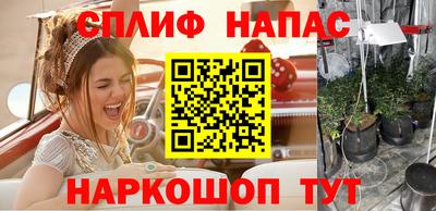 крисы Новокубанск
