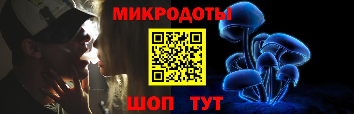 Северобайкальск  Галлюциногенные грибы Psilocybe  Галлюциногенные грибы прущие грибы  Вход с VPN 